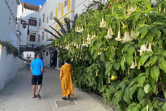 Tour image 11